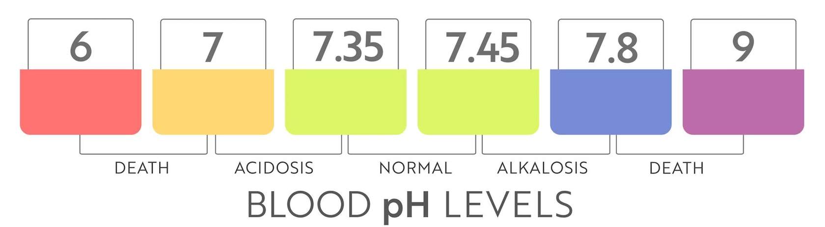 <p><span><span>Normal blood pH is around 7.4. If blood pH drops below that, it is considered </span></span><strong>acidosis</strong><span><span> (blood too acidic). It is considered </span></span><strong>alkalosis</strong><span><span> if it rises above 7.4 (blood too alkaline). Extreme changes in blood pH can result in death.</span></span></p>