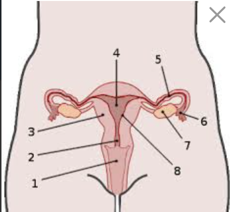 <p>What is #2?</p>