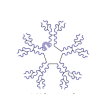 <p>What is this?</p>