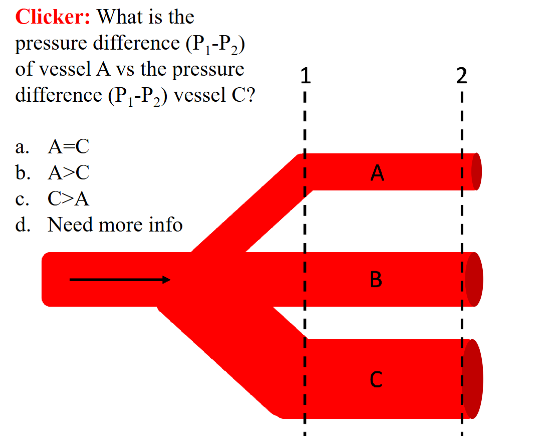 <ul><li><p>vessels are in parallel —> pressure drop is the same</p></li><li><p>A=C</p></li></ul><p></p>