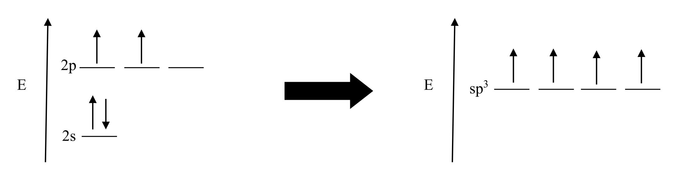 <p>An sp3 hybrid orbital results from the mixing of one s orbital and three p orbitals.  (ALL IN THE SAME E LEVEL, THERES NO 2P ORBITALS)</p>