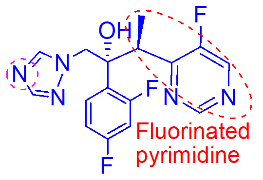 <p>what is important about this molecule (voriconazole);</p>