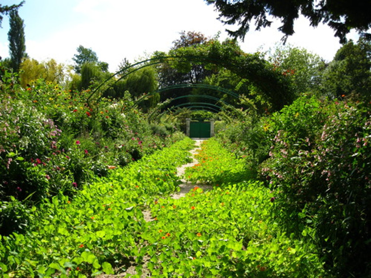 <p>rich, abundant, exuberant, opulent</p><p>무성한</p>