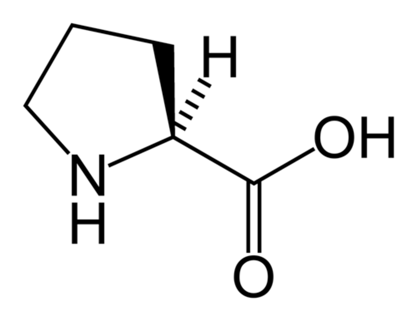 <p>(Pro, P) neutral-nonpolar, hydrophobic. amino acid: rigid and found between different regions of secondary structure within a protein chain.</p>