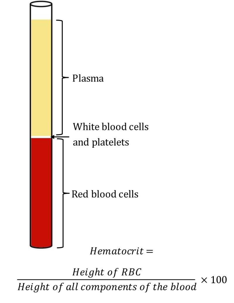 <ul><li><p>plasma </p></li><li><p>buffy coat (white blood cells and platelets)  </p></li><li><p>RBCs</p></li></ul><p></p>