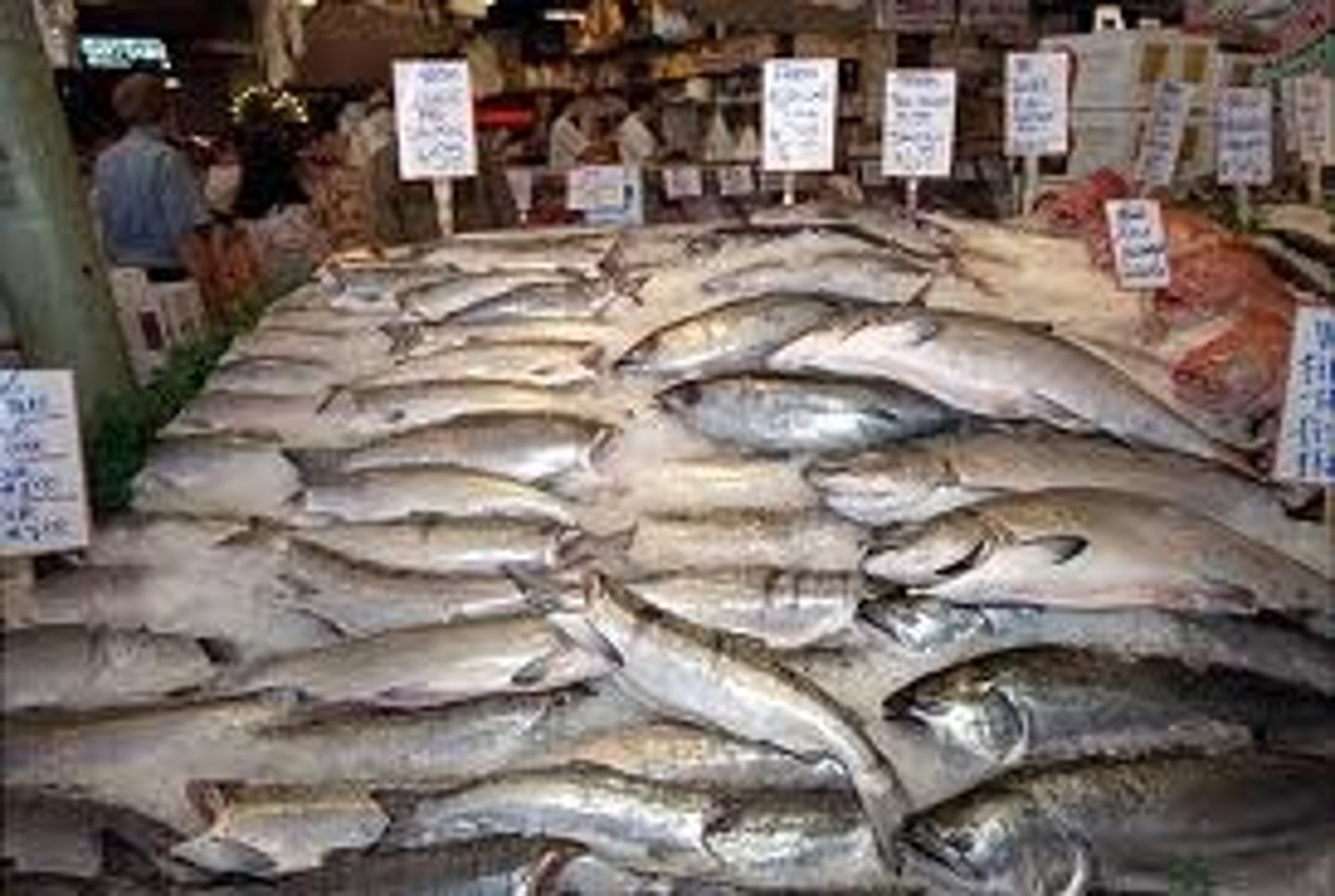 <p>Limit the mass/number of fish caught</p>