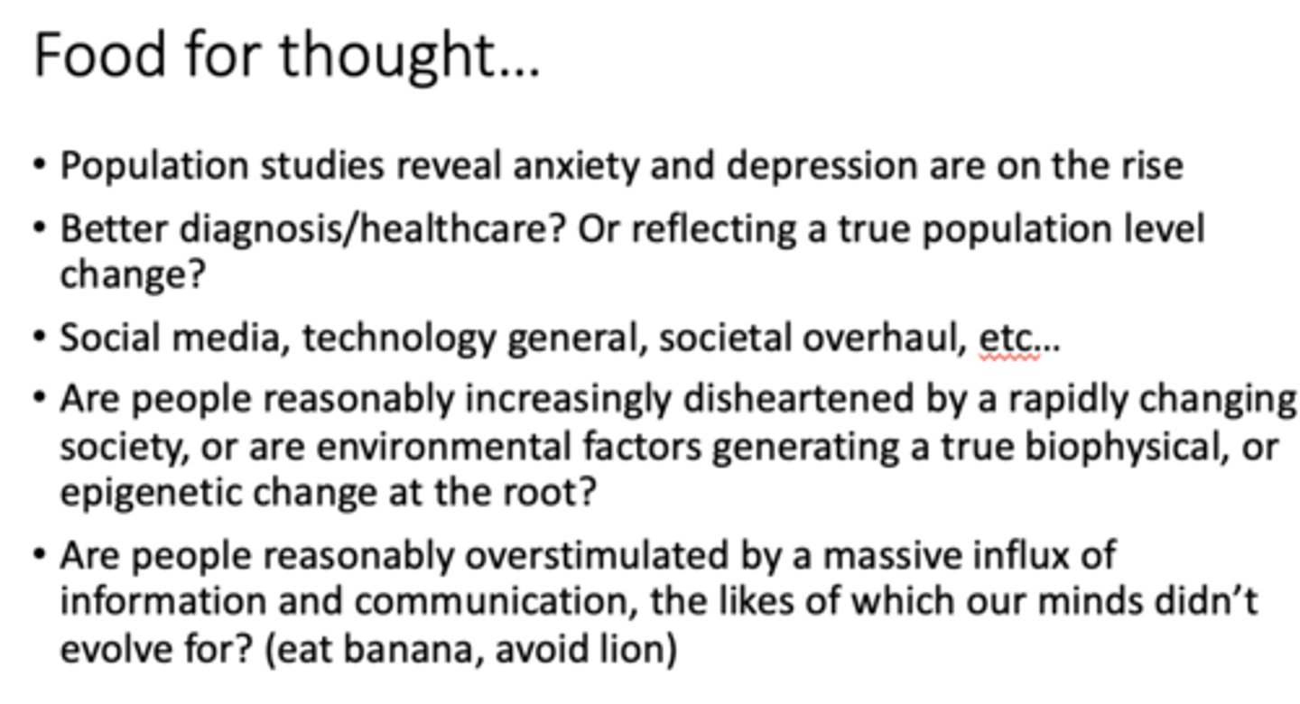 <p>"food for thought"</p>