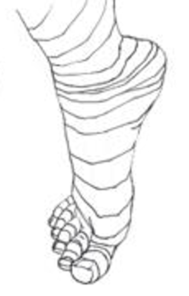 <p>lines that describe the volume of a shape</p>