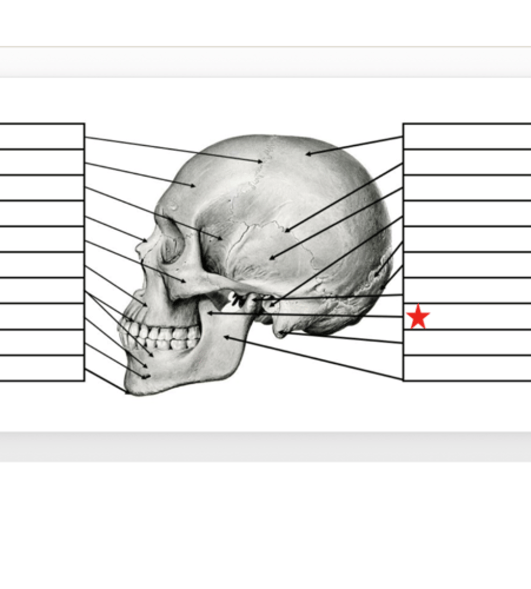<p>What is this?</p>
