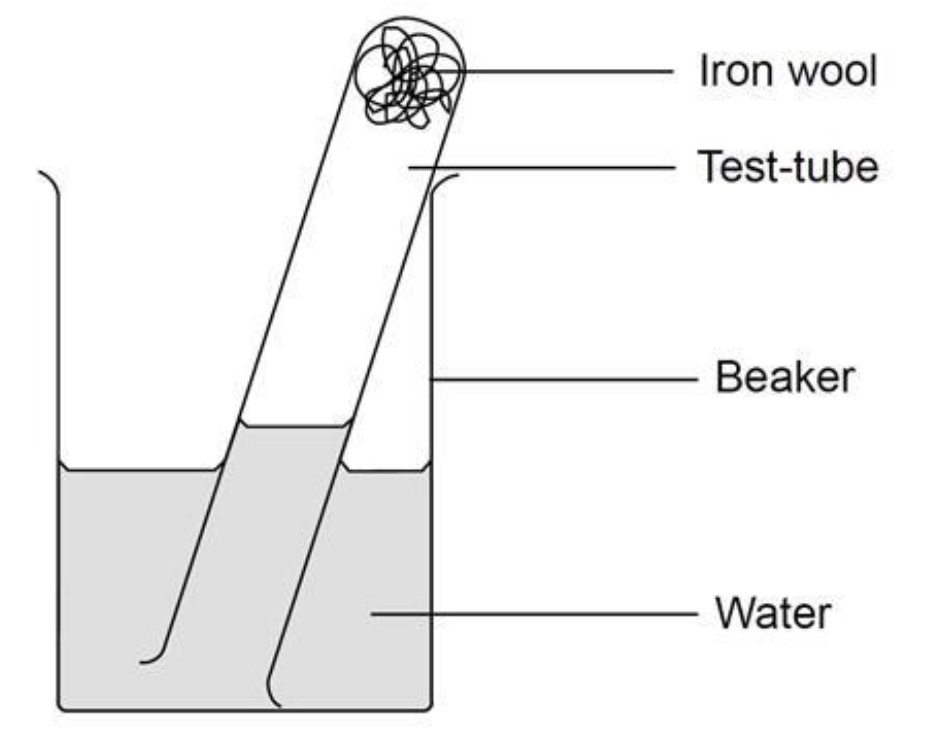 <ol><li><p><span>Use glass rod to poke some iron wool into bottom of a test tube. Use enough iron wool so that it is around 3 cm deep in the test tube.</span></p></li><li><p><span>Add a little water to the test tube and shake it, so that the iron wool is wet. Pour out any excess water.</span></p></li><li><p><span>Invert the test tube into a beaker that is half full of water.&nbsp;</span></p></li><li><p><span>With the test tube vertical, measure the height (in mm) of the air in the test tube. Record this in the observation section.</span></p></li><li><p><span>Arrange the test tube at an angle (see diagram), and leave for a week.</span></p></li><li><p><span>With the test tube vertical, measure the height of the air in the test tube.</span></p></li></ol>
