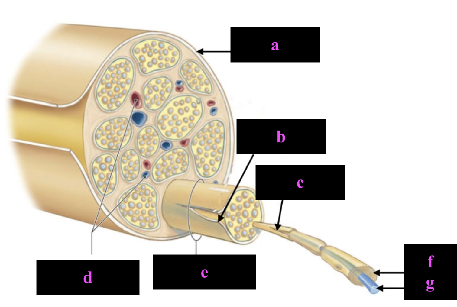 <p>a</p>