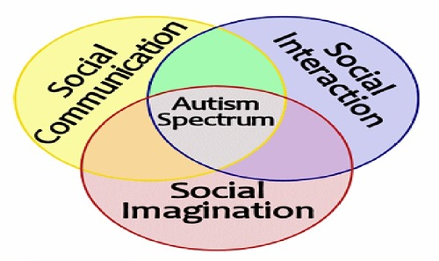 <p>a disorder that appears in childhood and is marked by significant deficiencies in communication and social interaction, and by rigidly fixated interests and repetitive behaviors</p>