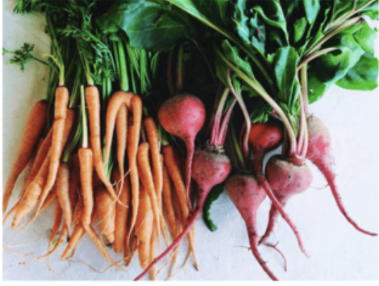 <p>What kind of modification is this?</p>