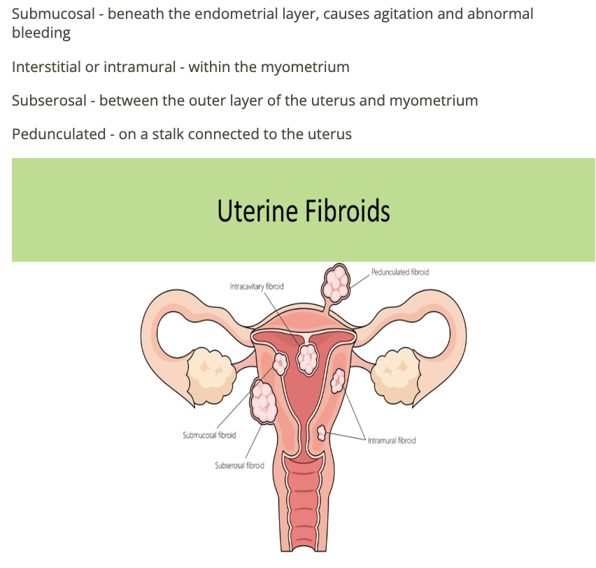 <p>a) submucosal </p>