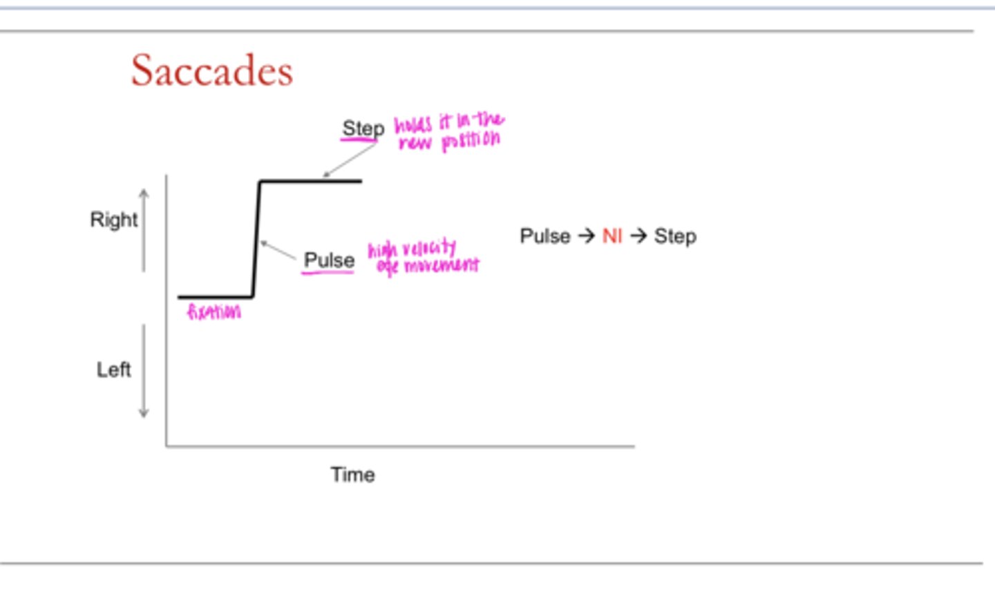 <p>What is the step of a saccade?</p>