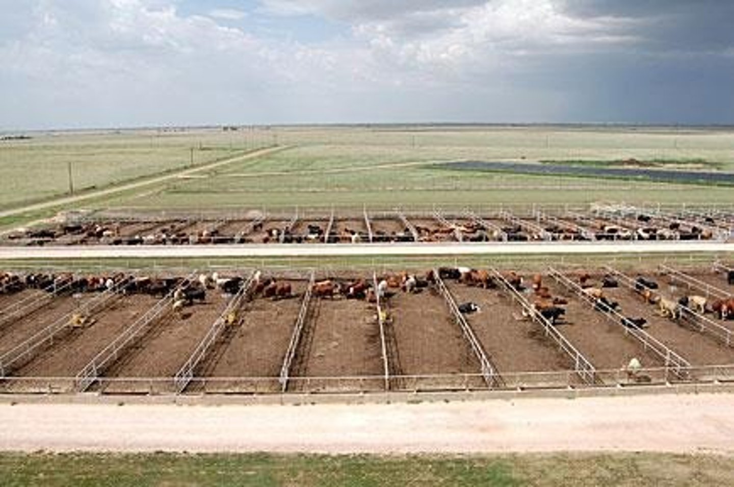 <p>A type of animal feeding operation used in intensive animal farming for finishing livestock prior to slaughter.</p>
