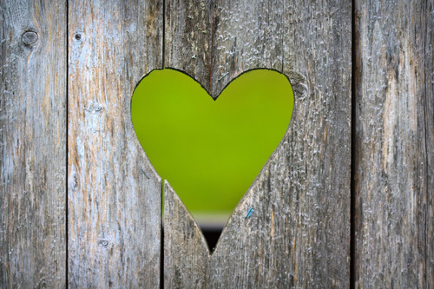 <p>a person, place, or thing that represents something beyond its literal meaning. (ex. A heart might represent love.)</p>