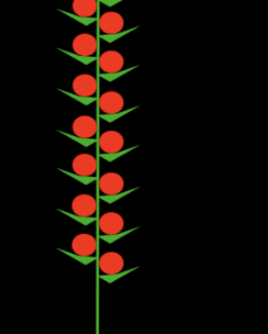 <p>What type of composite type is this?</p>