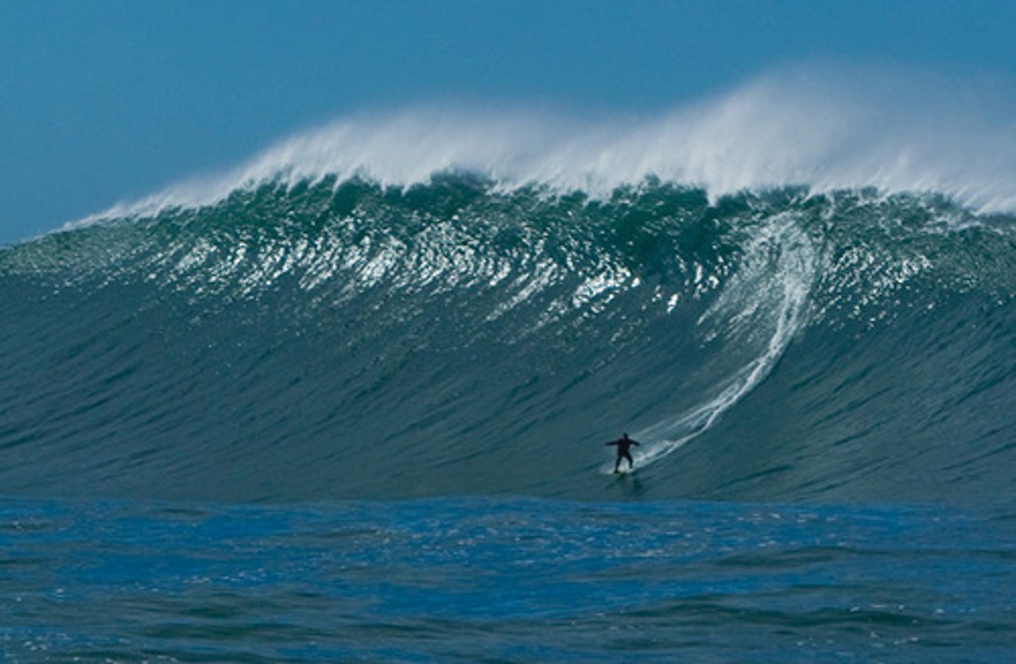 <p>(noun phrase) sự cống hiến kiên định</p><p>example: His ___ inspired others.</p>