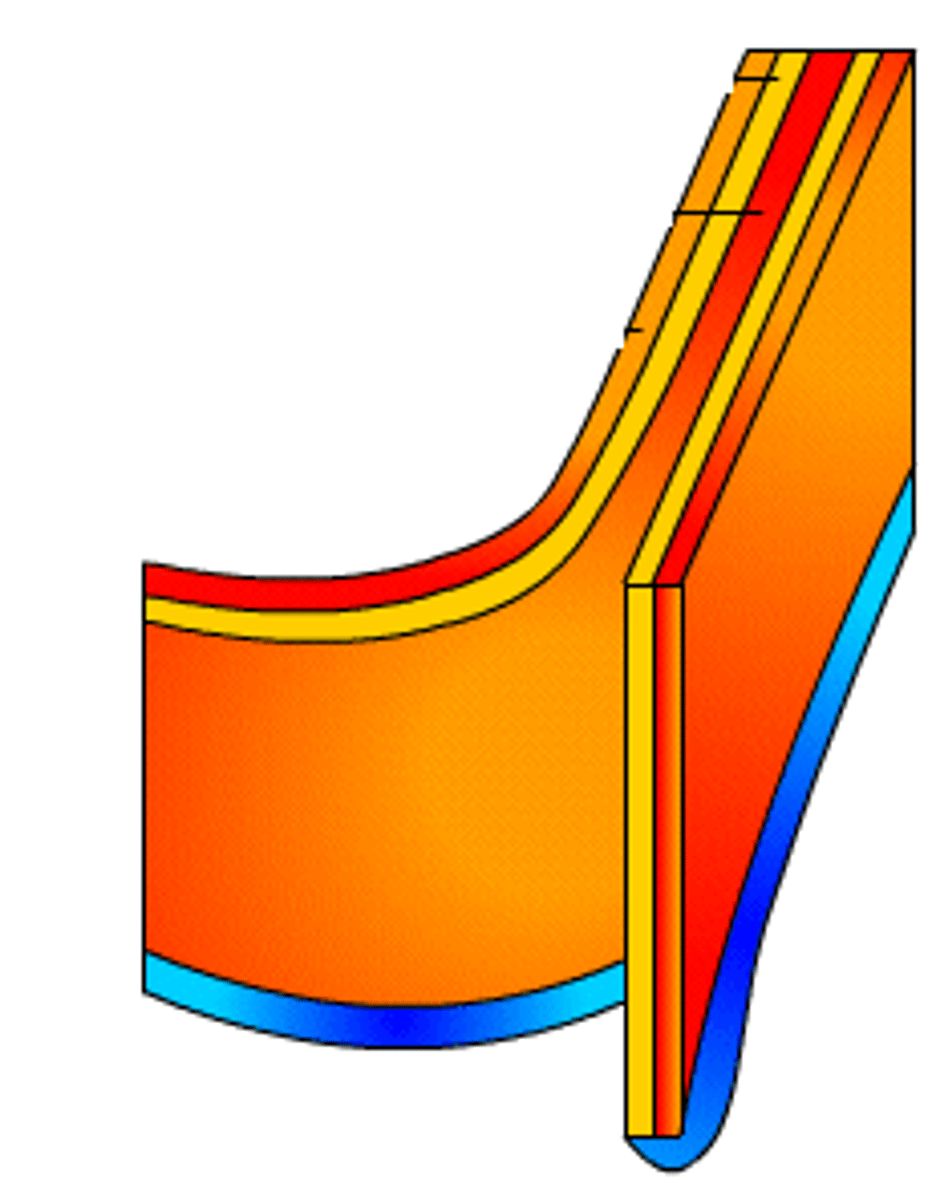 <p>rigid structure surrounding cell membrane that provides protection and shape to plant cells</p>