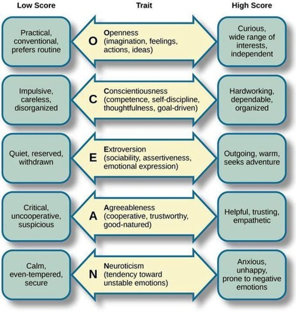 <p>Five major personality traits: Openness, Conscientiousness, Extraversion, Agreeableness, Neuroticism.</p>