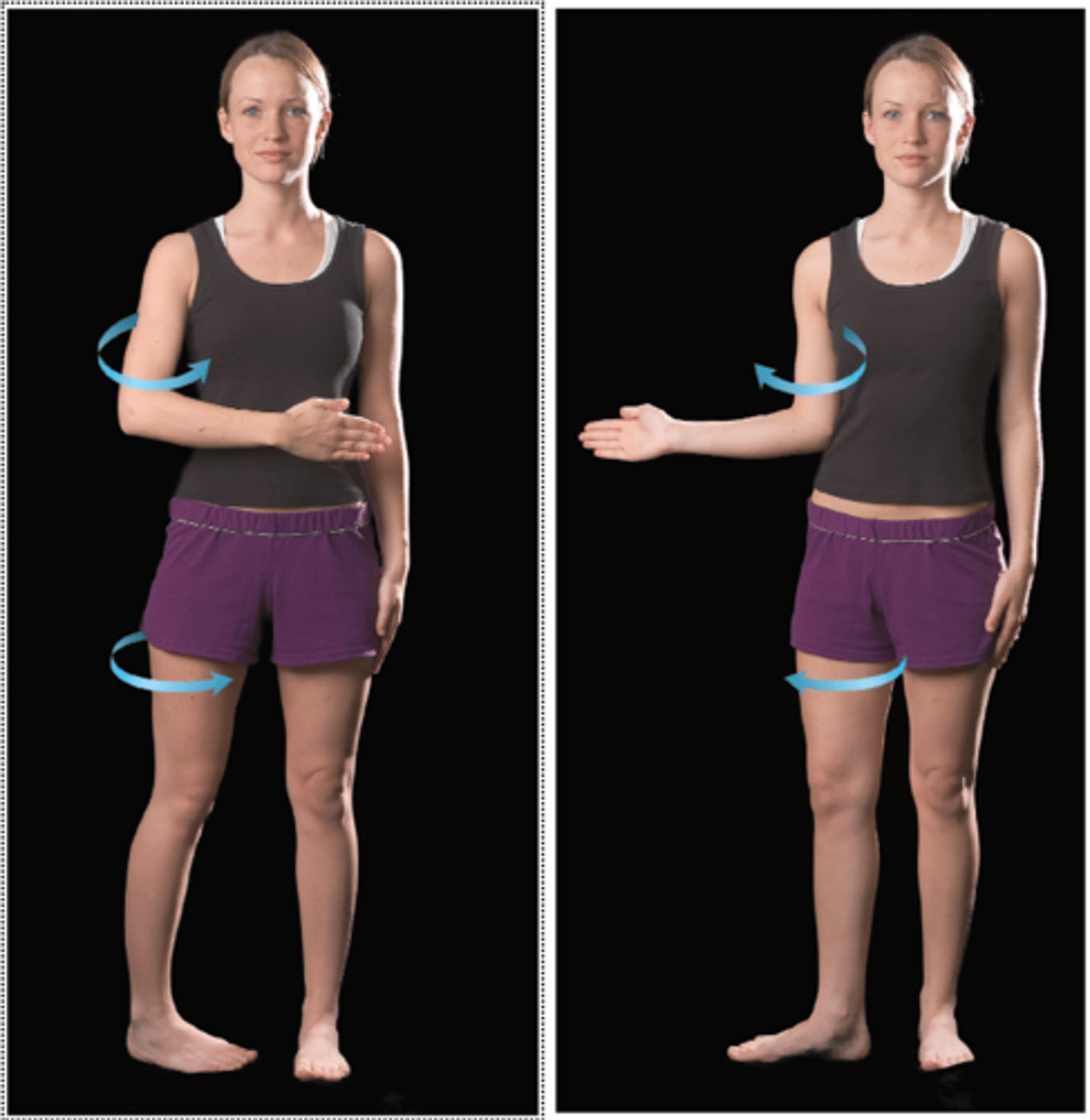 <p>bone spins on its long axis</p>