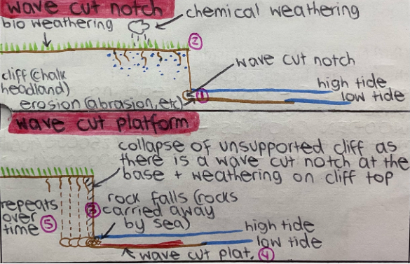knowt flashcard image