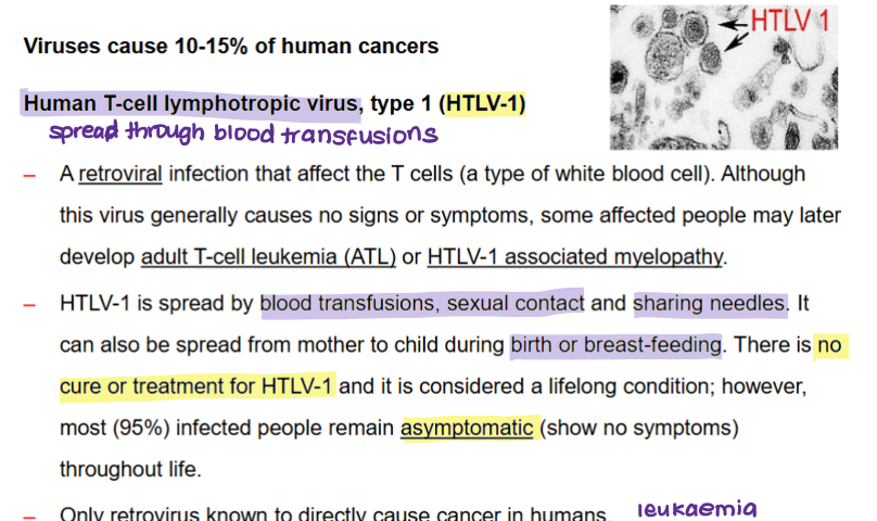 <p><span>HTLV-1 is a virus that causes a form of blood cancer called <strong><mark data-color="rgba(0, 0, 0, 0)" style="background-color: rgba(0, 0, 0, 0); color: inherit;">adult T-cell leukemia/lymphoma (ATL)</mark></strong>. The virus infects T cells, a type of white blood cell, and in a small percentage of infected individuals, this can lead to ATL, an aggressive and often fatal malignancy.</span></p>