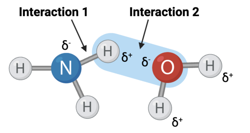 <p><span>&nbsp;Interaction 1 is ____?</span></p>
