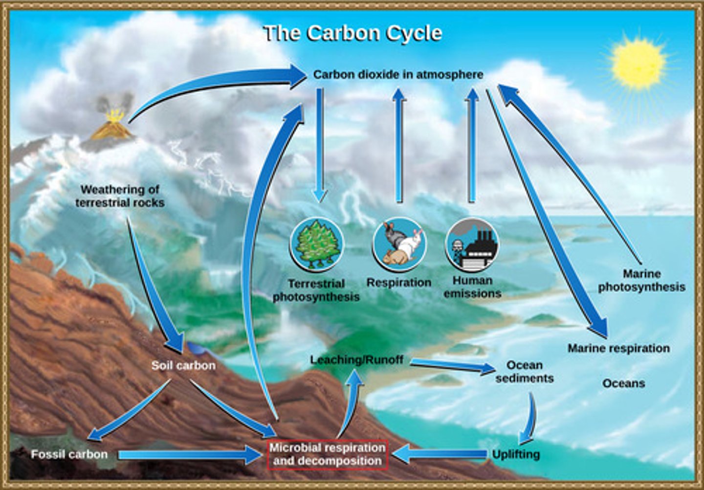 <p>the movements of matter within and between ecosystems involving cycles of biological, geological, and chemical processes</p>