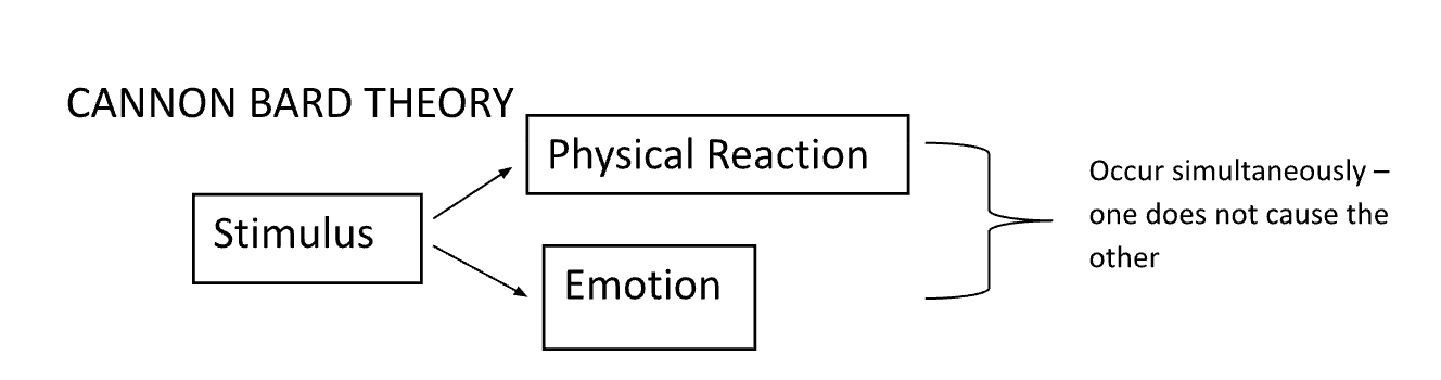 <p>Theory proposing that emotions and physiological responses occur simultaneously.</p><p></p>