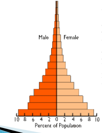 <p>what population graph is this?</p>