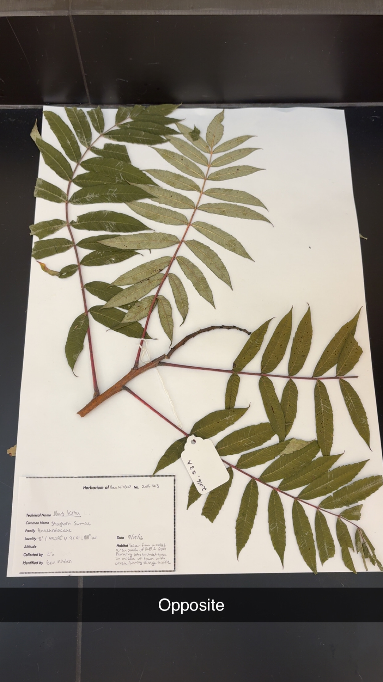 <p>What type of leave is this</p>