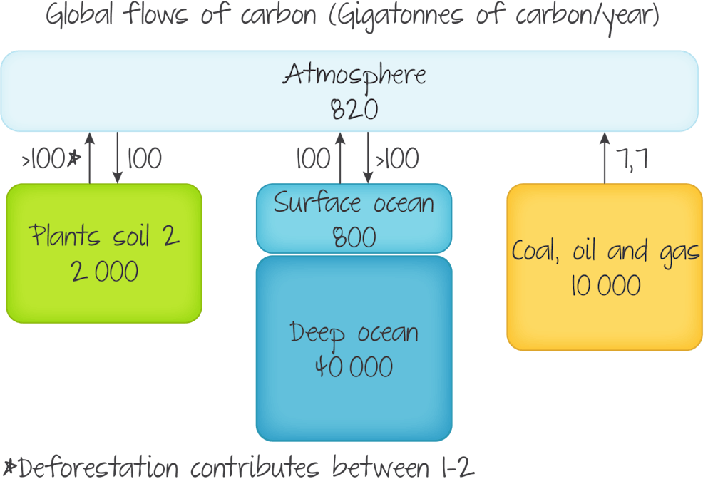 knowt flashcard image