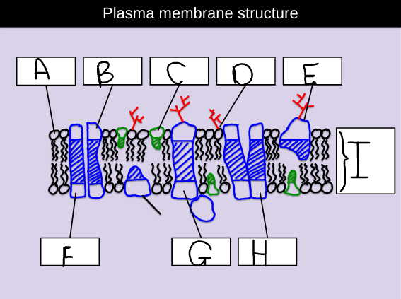 <p>Label this diagram</p>