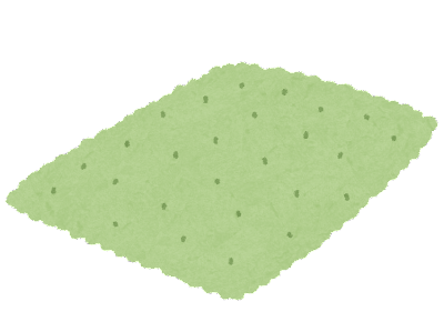 <p>To carpet the floor</p>