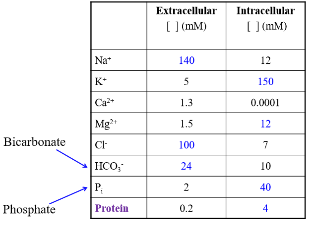 <p>Na+, Cl-, HCO3-</p><p></p>