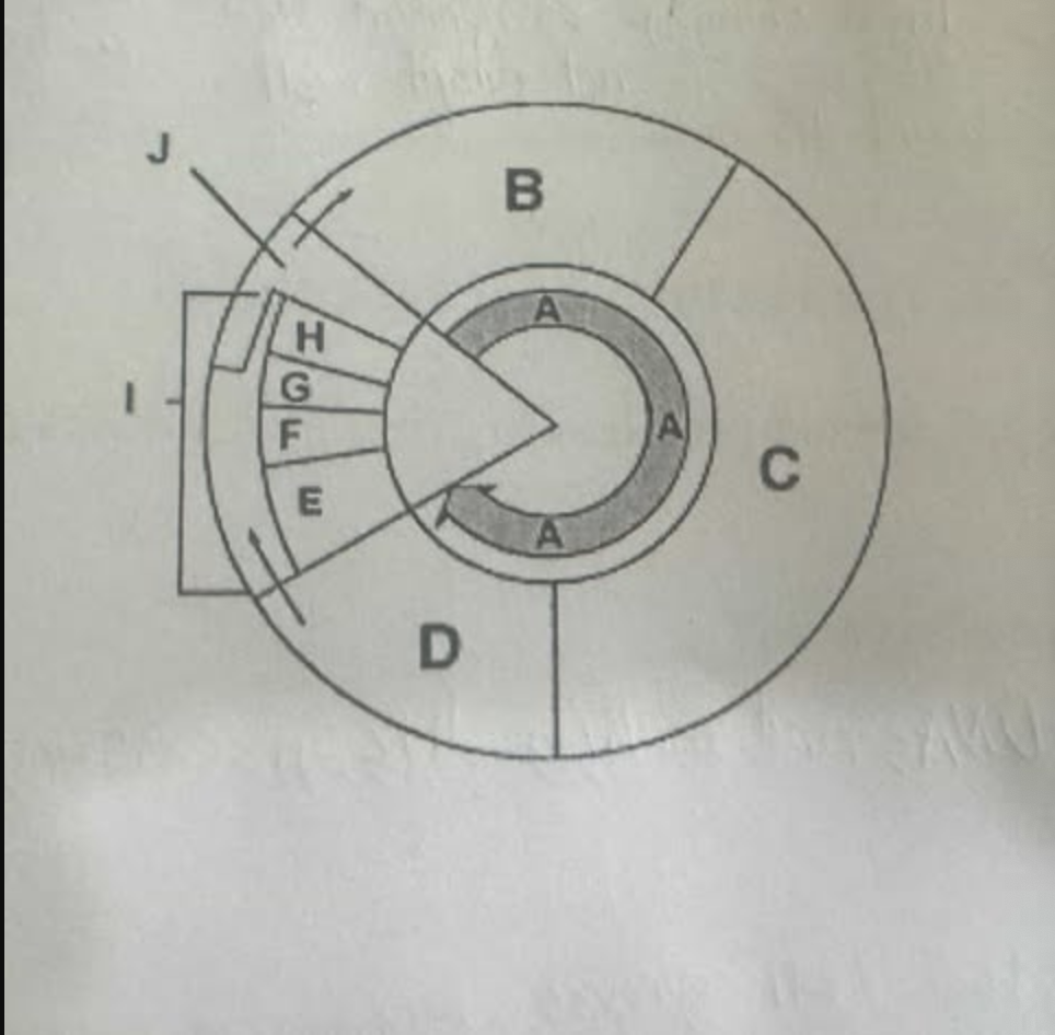 <p>What are all the phases of the cell cycle that is shown?</p>