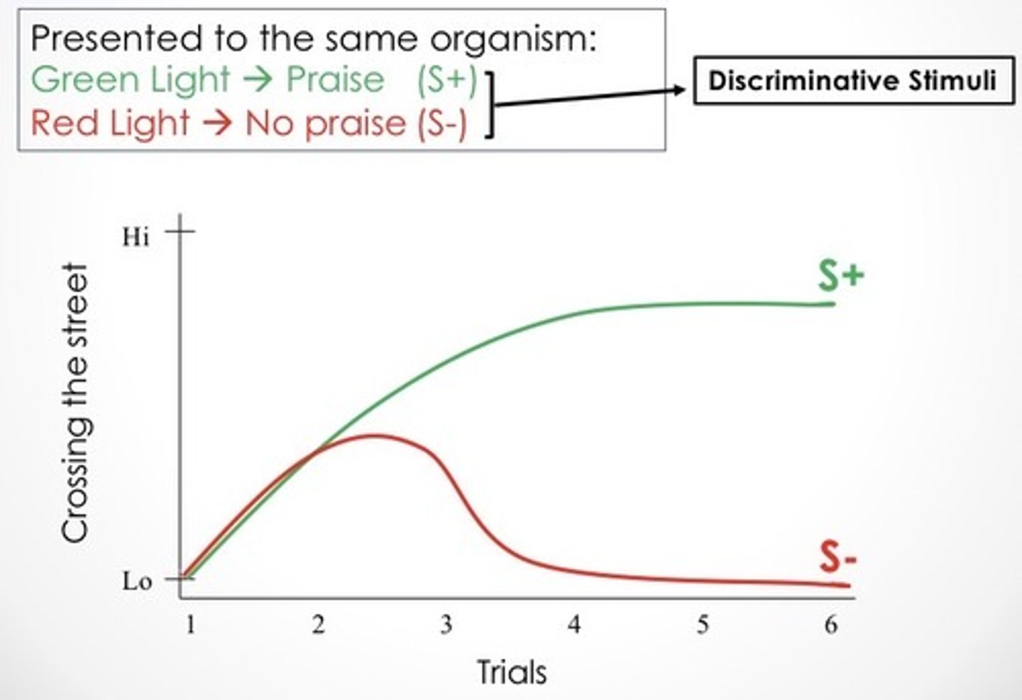 <p>Experience with stimuli (learning about them) may determine the extent to which those stimuli come to control behavior.</p><p>SD or S+ = The stimulus that signals reinforcement available.</p><p>SΔ or S- = The stimulus that signals reinforcement is not available.</p><p>Example:</p><p>Green Light present (S+): Cross the Street - Praise</p><p>Red Light present (S-): Cross the Street - No Praise</p><p>Depends on how the stimuli are presented. We can rapidly learn to distinguish the S+ from the S- if they are presented together (simultaneously), but have a harder time if the stimuli are presented sequentially.</p><p>Example:</p><p>S+ = Peck on Female Face -> Food</p><p>S- = Peck on Male Face -> No Food</p><p>Grp 1: S+ and S- are shown at the same time.</p><p>Grp 2: S+ and S- trials are shown one at a time.</p><p>Pigeons learn quickly to distinguish between male and female faces if they are presented side-by-side. It takes much longer if they are shown one at a time.</p>