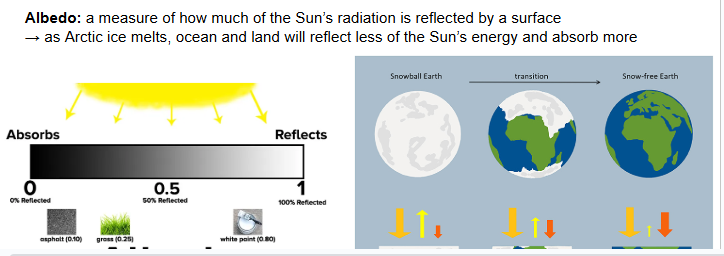 <p>The measure of a surface’s reflectivity from the sun’s radiation</p>