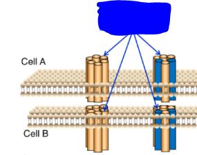 <p>What is this? (two answers)</p>