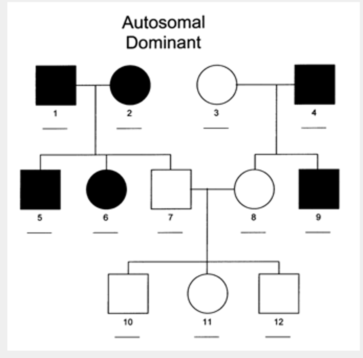 <p>The trait shows up in every generation. Two parent's may have the disorder, but some of their children may not</p>