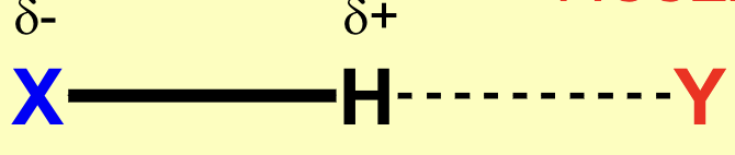 <p>Which is the donor and which is the acceptor?</p><p>What does X and Y represent in hydrogen bonding?</p>