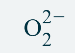 <p>O<sub>2</sub><sup>2-</sup></p>