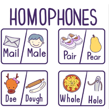 <p>Homophones </p>