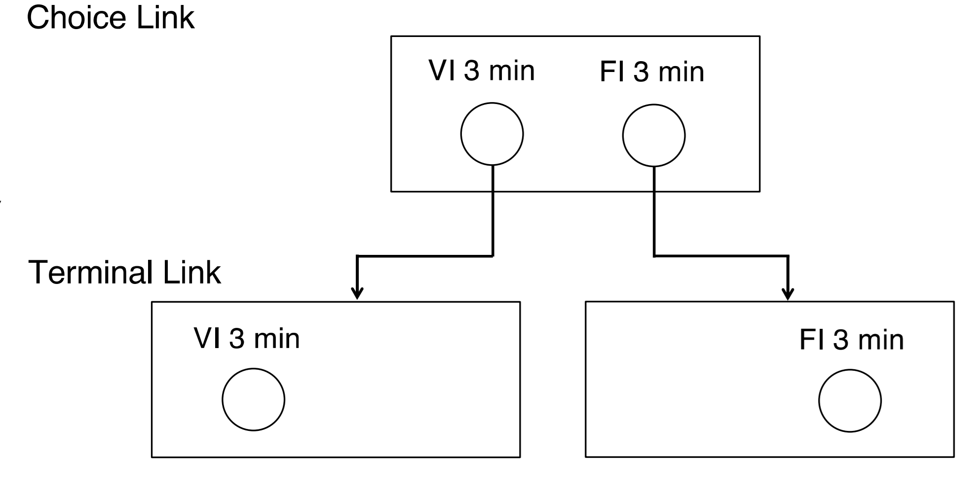 <p>Once one option is picked, other becomes unavailable</p>