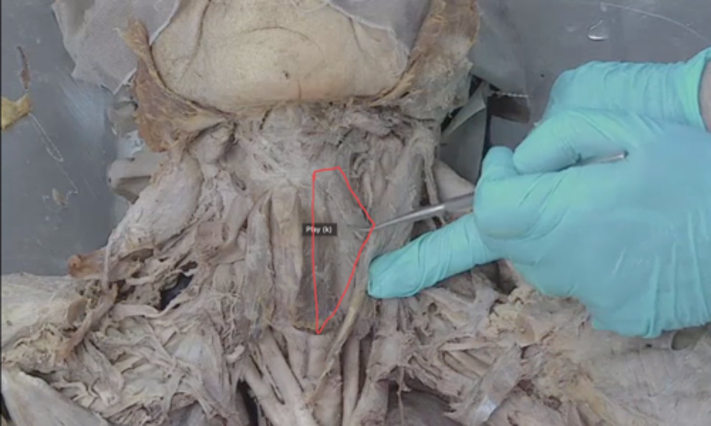 <p>identify this triangle</p>