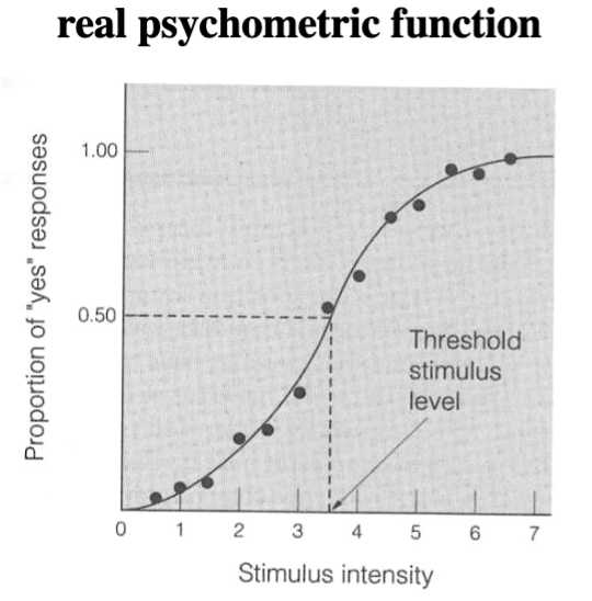 <p>graph of stimulus value (intensity) on horizontal axis versus subject’s responses (proportion of yes or no) on vertical axis</p><ul><li><p>vary depending on the person and the moment</p></li><li><p>Ogive = typical S shape of the functions</p></li></ul><p></p>