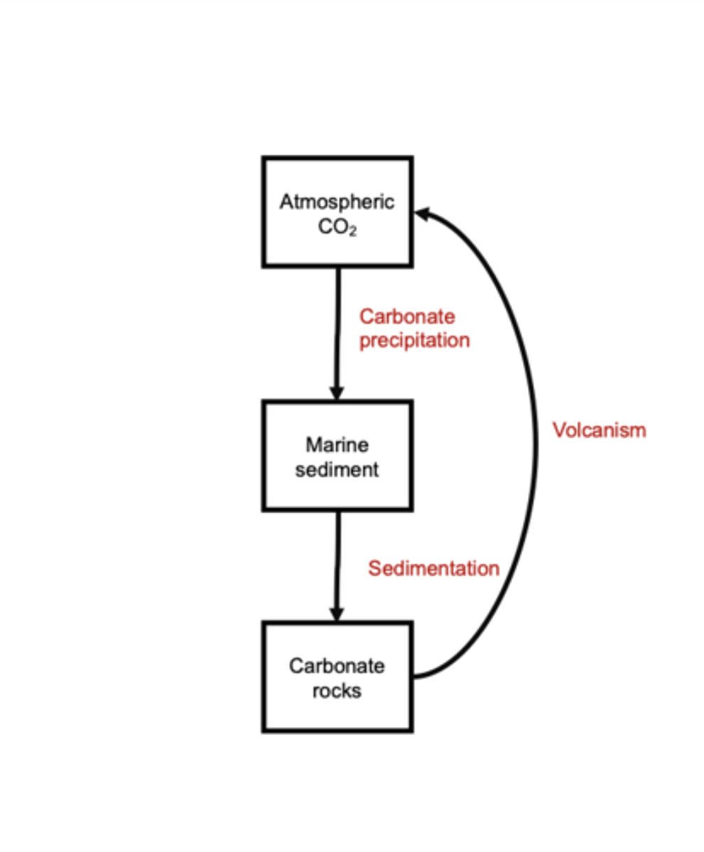 <p>Atmospheric CO₂ dissolves into the ocean and is converted into carbonate minerals through carbonate precipitation. These carbonate-rich marine sediments are buried and compacted into carbonate rocks through sedimentation. Over millions of years, tectonic subduction and metamorphism return this stored carbon to the atmosphere as volcanic CO₂. This closed loop acts as a major long-term regulator of atmospheric CO₂ and climate.</p>