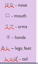 <p>Body parts </p>